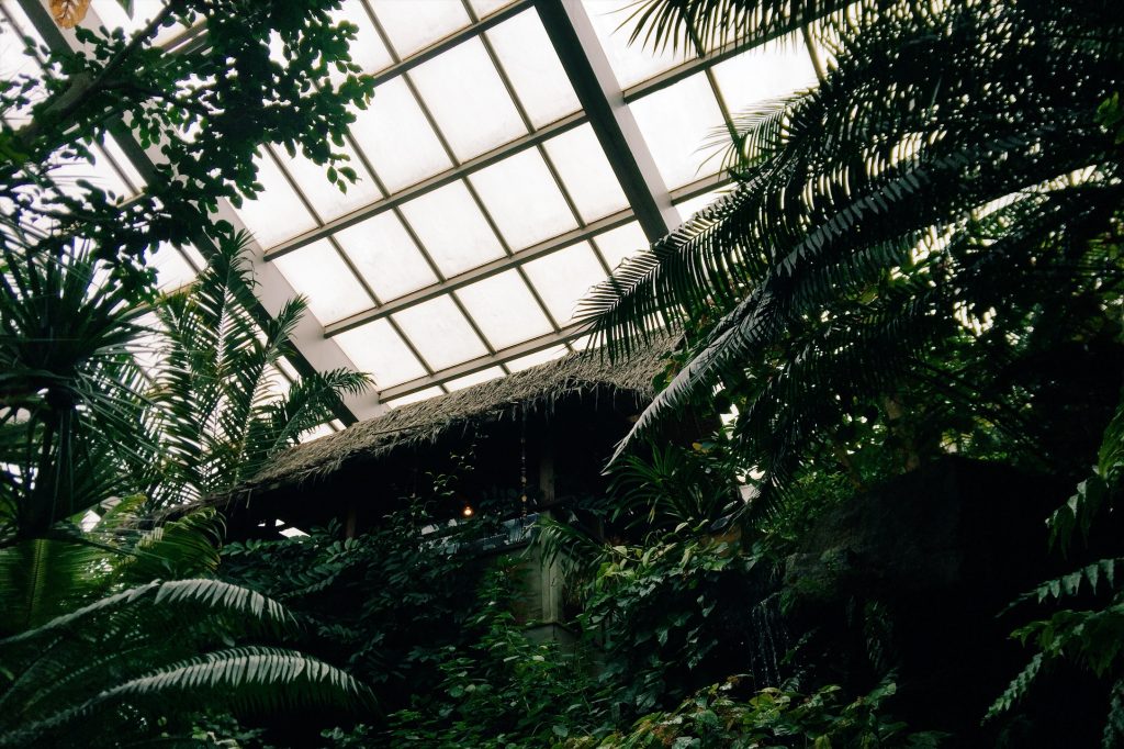 板橋区熱帯環境植物館