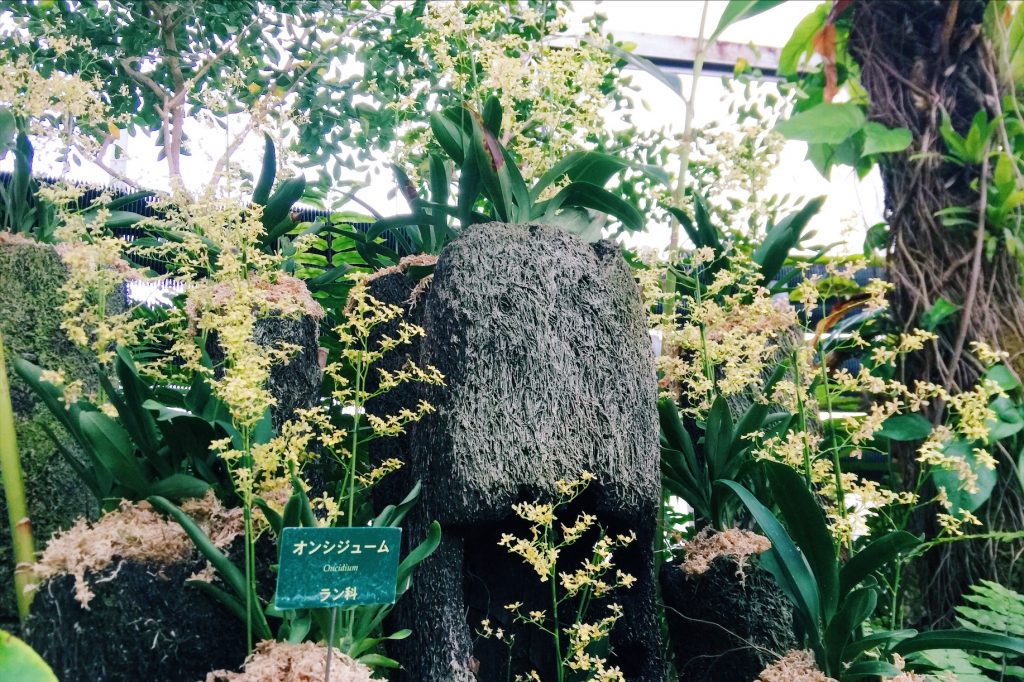 夢の島熱帯植物館